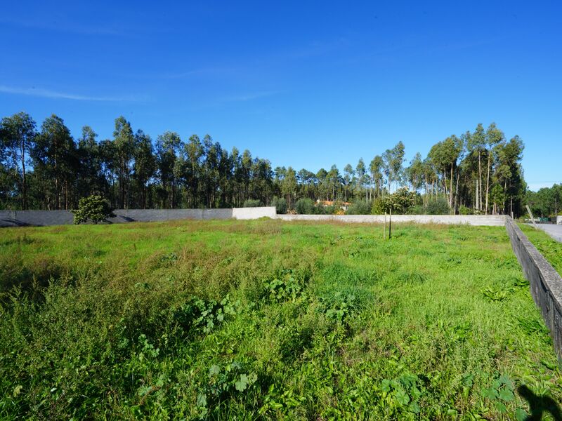 Terreno com 1050m2 Maceira Leiria - água, electricidade