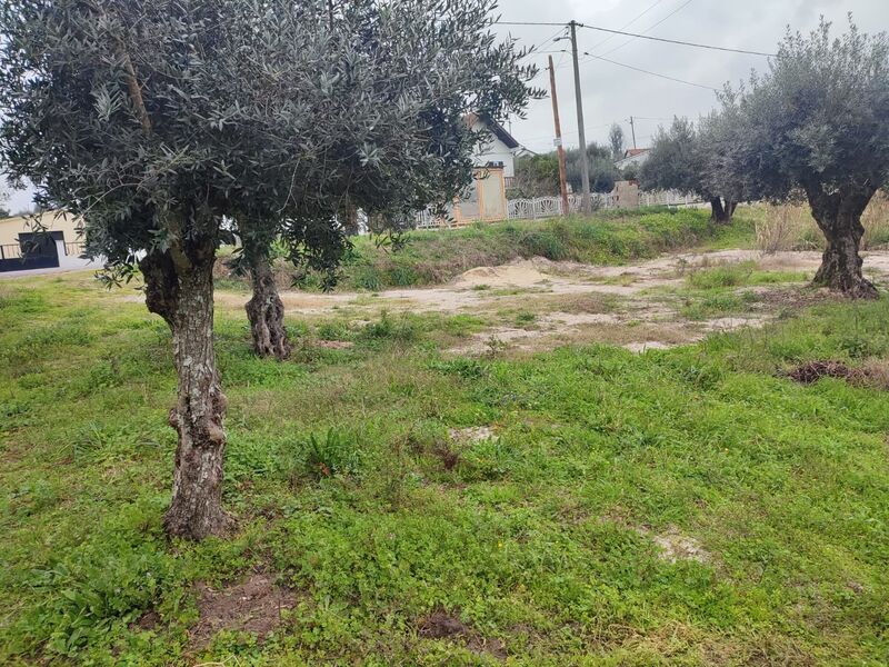 Terreno com 1976m2 Urqueira Ourém - água, oliveiras