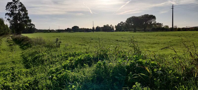 Land uusi Alcorochel Torres Novas