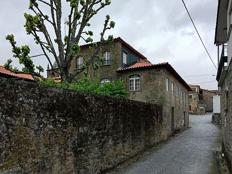 Home V4 Luxury in the center Chosendo Sernancelhe - backyard, boiler, central heating, store room, garden, balcony