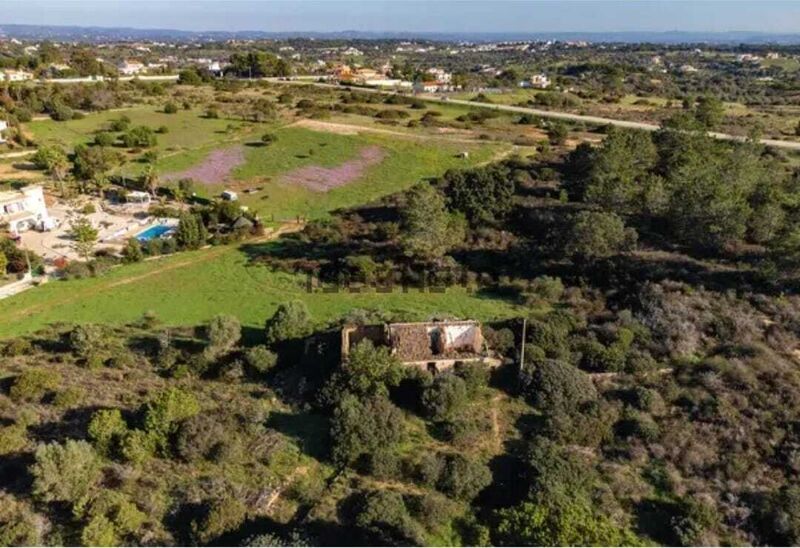 Terreno Agrícola plano Lagoa (Algarve) - caldeira