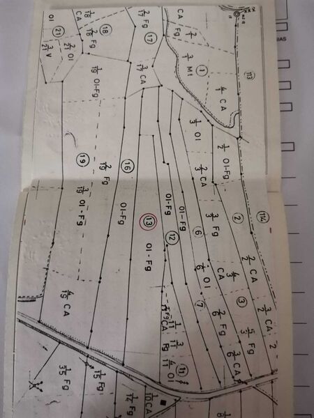 земля загородный c 7843m2 Brogueira Torres Novas