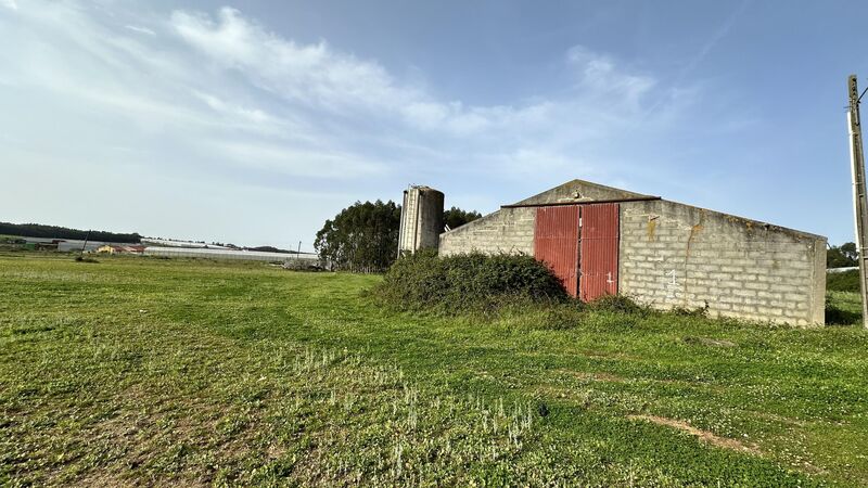 Terreno Rústico Torres Vedras