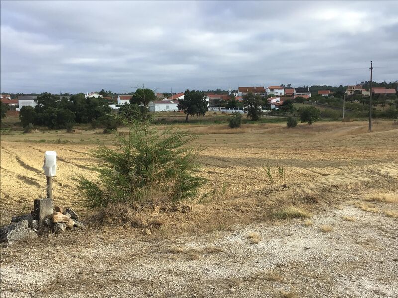 Terreno com 6440m2 Paialvo Tomar