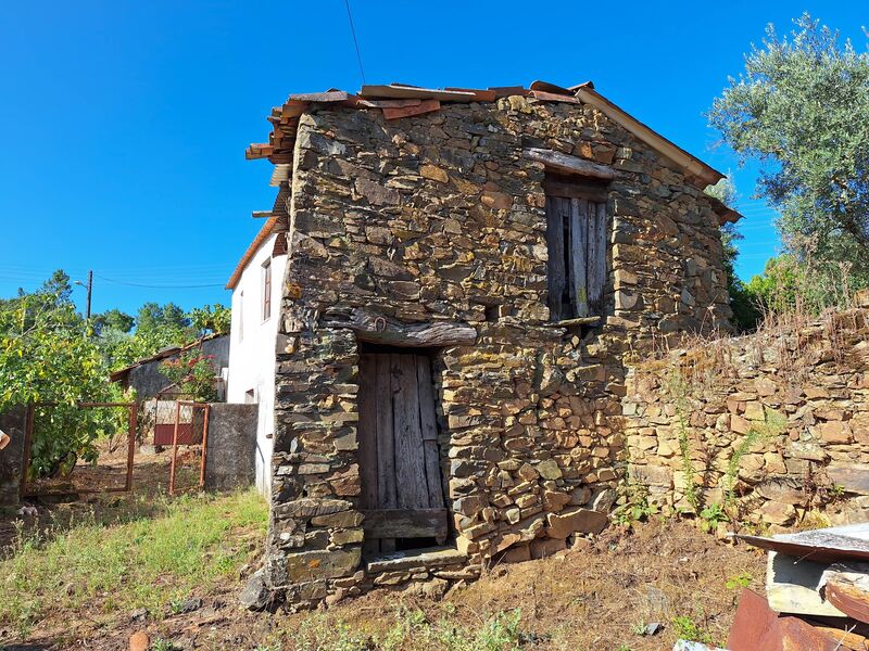 Small farm V4 to recover Cardigos Mação - well, water hole, fruit trees, water