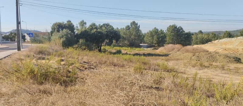 Terreno novo para construção São Salvador Santarém - luz