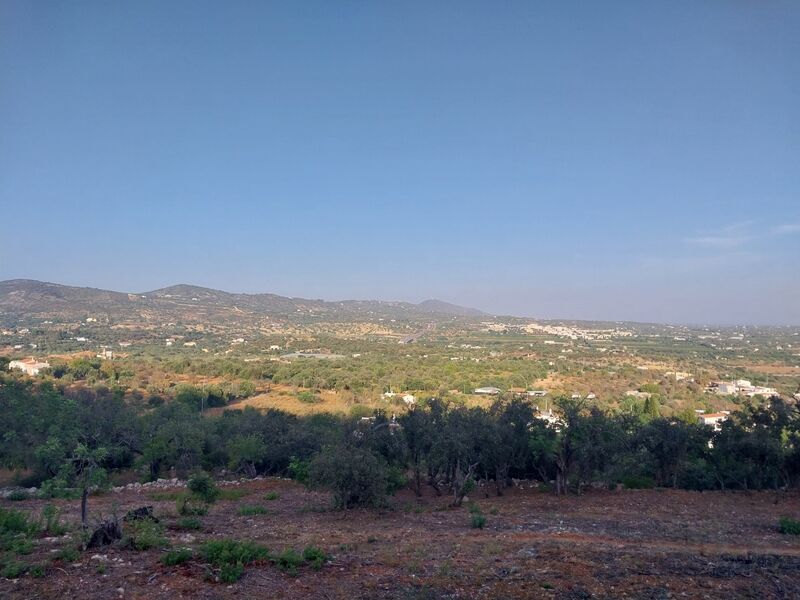 Terreno Rústico com 6100m2 Guilhim Faro - vista serra, electricidade