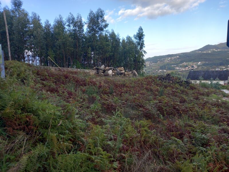 Terreno com 1000m2 Barbeita Monção - água, boa localização