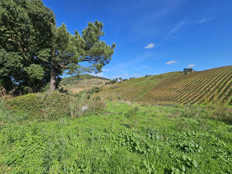 Land Livramento  Sobral da Abelheira Mafra - water, mains water, electricity