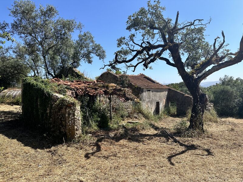 Casa V3 Rua Cabeço da Lagoa Turquel Alcobaça - jardim