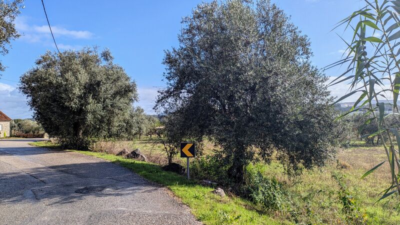 Land with 4000sqm Pombal