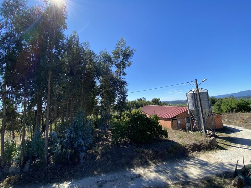 Terreno Agrícola com 4230m2 Lajeosa do Dão Tondela