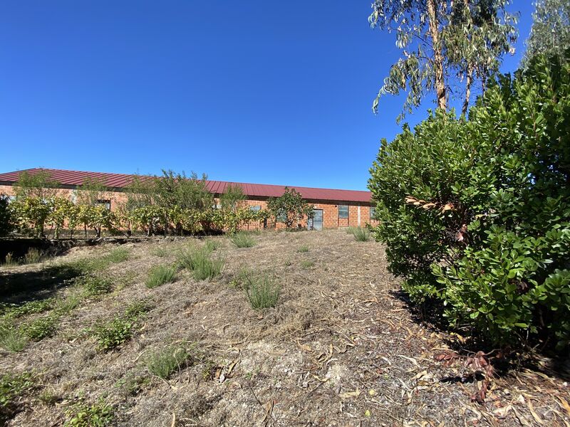 Terreno Agrícola com 4230m2 Lajeosa do Dão Tondela