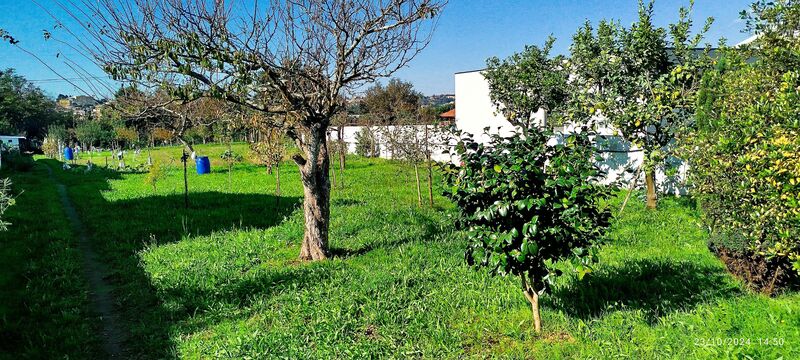 Land with 1450sqm São Roque Oliveira de Azeméis - electricity, well, tank