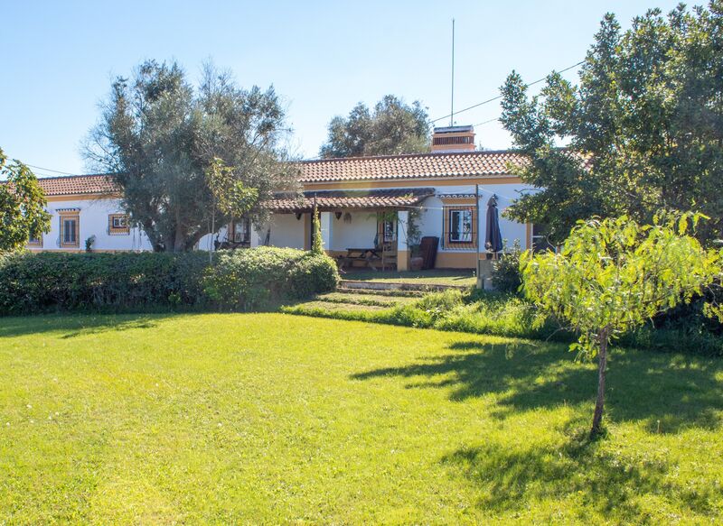 House 5 bedrooms Typical Alcáçovas Viana do Alentejo - equipped, fireplace, swimming pool