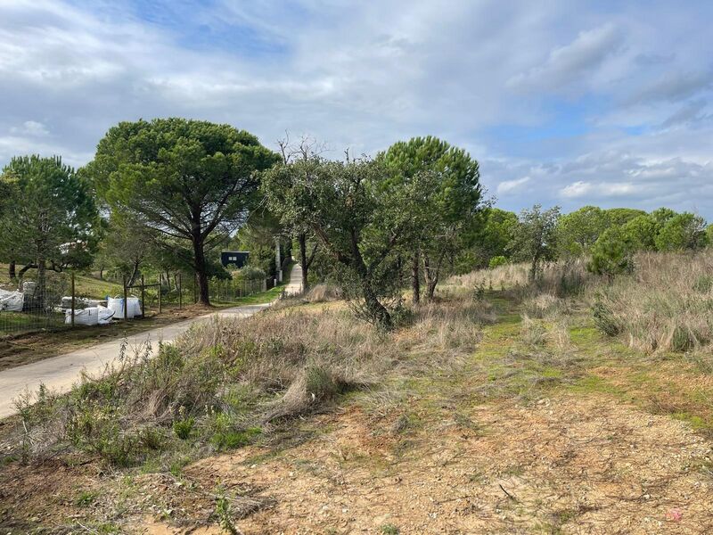 Land Agricultural Melides Grândola - sea view, water, cork oaks, electricity