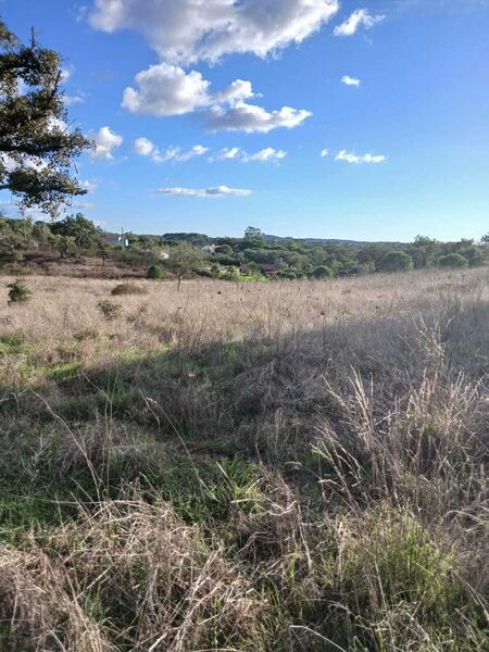 Land for construction Melides Grândola - olive trees, electricity, sea view, water, cork oaks, water hole