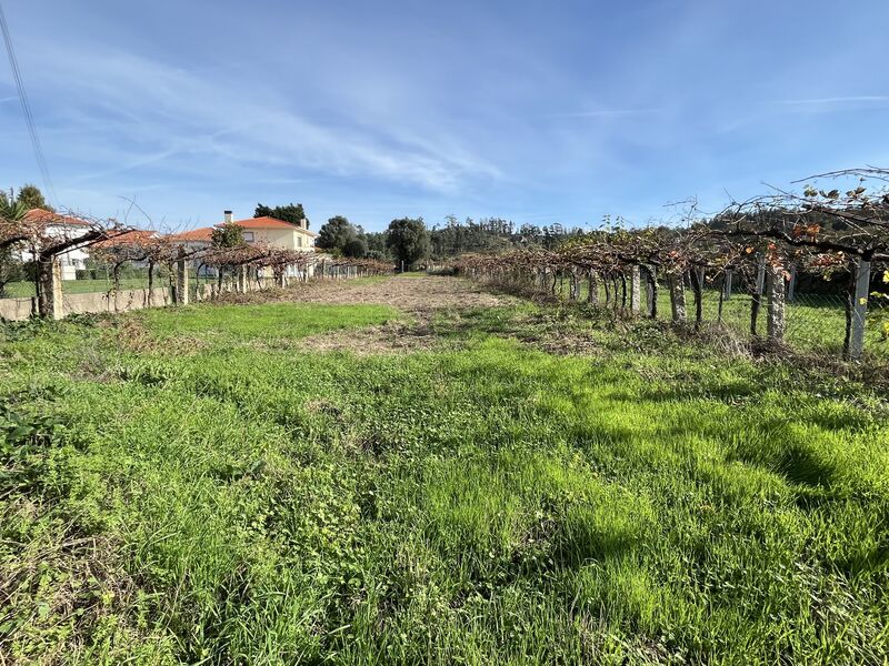 Terreno com 2000m2 Lara Monção - bons acessos