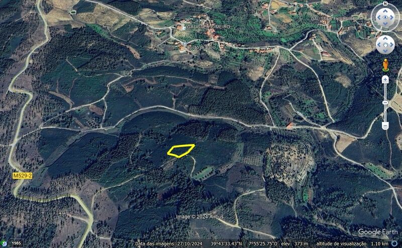 Land with 1720sqm Proença-a-Nova