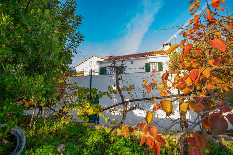 Farm V3 Casal das Comeiras Santarém - attic, double glazing, fireplace, solar panels, garage, solar panels, equipped, water hole, water, swimming pool, olive trees, terrace, fruit trees