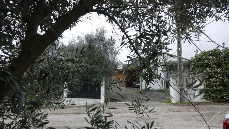 Farm 1 bedrooms Vila Cã Pombal - electricity, water hole, water, olive trees, fruit trees