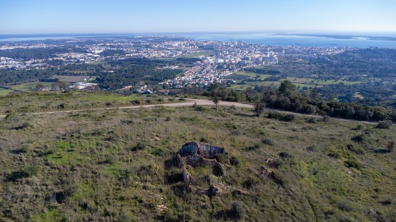 Terreno Agrícola para recuperar Colinas da Arrábida Palmela