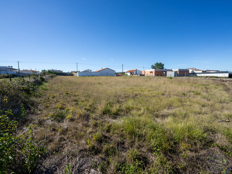 Terreno plano Maceira Leiria - electricidade, água