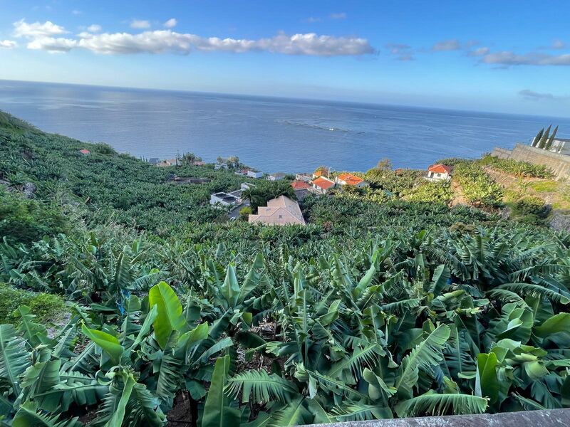 Land with 2295sqm Arco da Calheta Calheta (Madeira)