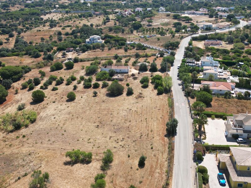 Plot Lagoa (Algarve) - fruit trees