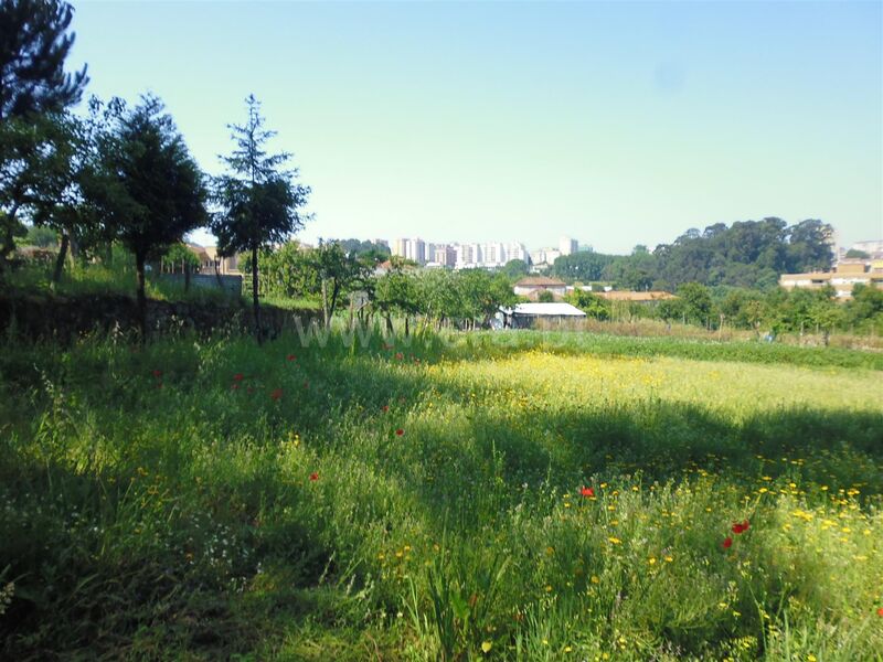 земля загородный равнинный Oliveira do Douro Vila Nova de Gaia