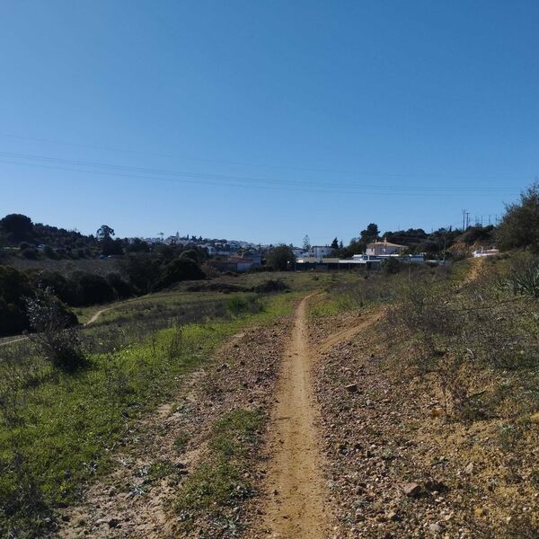 Terreno Rústico com 8100m2 Porches Lagoa (Algarve)