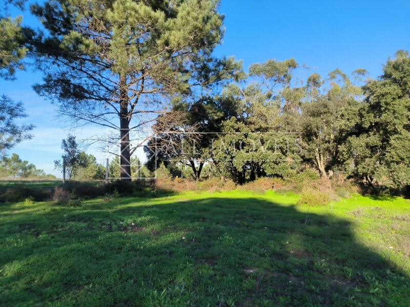 Land Rustic with 11000sqm Marinha Quinta do Anjo Palmela - water hole, olive trees, electricity