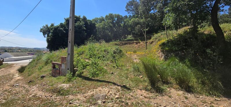 Land with 6238sqm Milharado Mafra