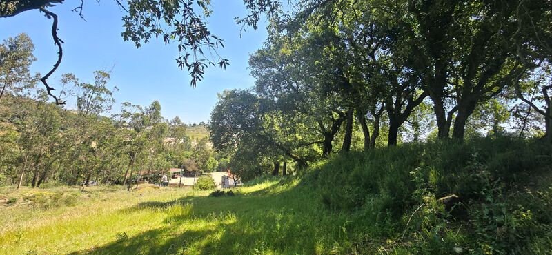 Terreno Urbano com 6238m2 Milharado Mafra - sobreiros