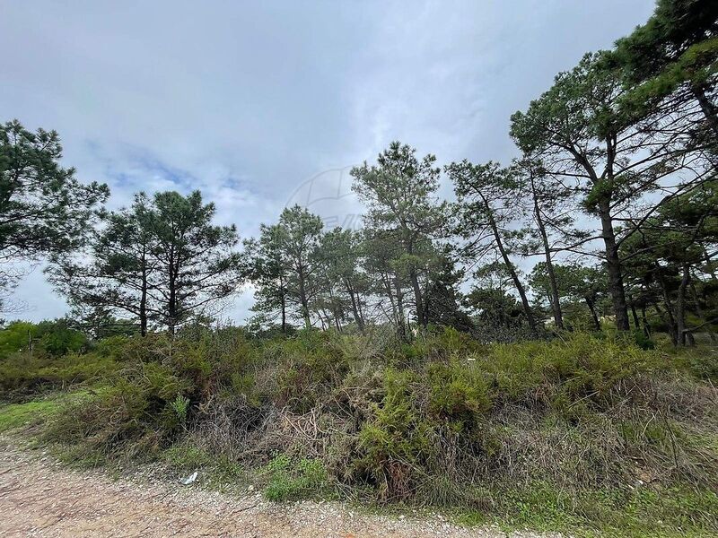 Land with 315sqm Almada