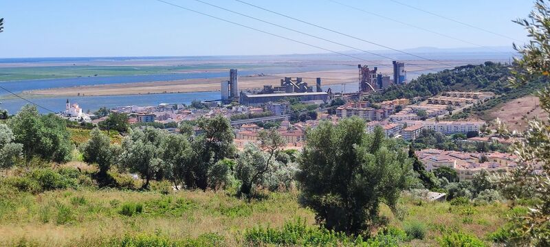 земля городской для строительства Vila Franca de Xira - оливковые деревья