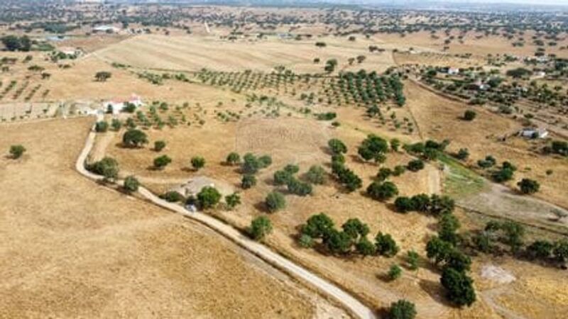 Land with 56sqm Ourique - olive trees