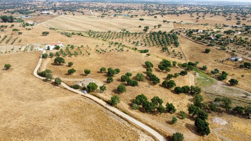 Land with 56sqm Ourique - olive trees