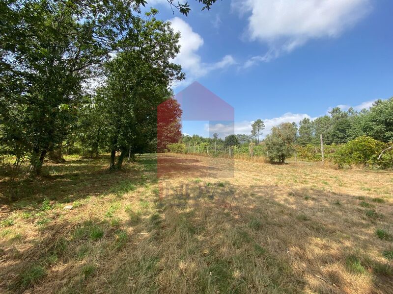 Land Agricultural with 4809sqm Geme Vila Verde - easy access