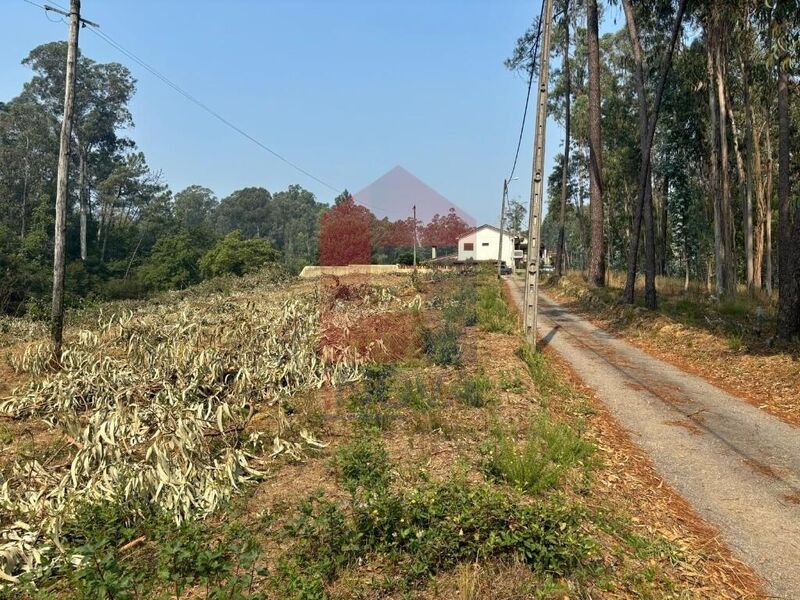 Land with 2099sqm Freiriz Vila Verde - easy access