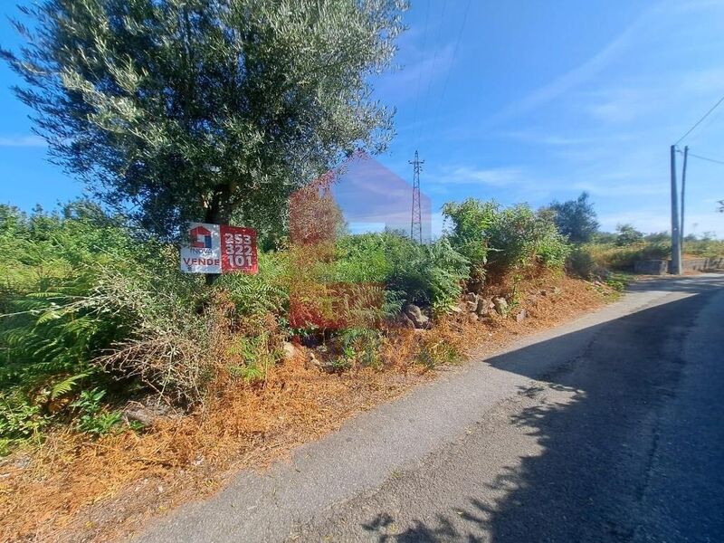 Land Agricultural flat Coucieiro Vila Verde - easy access