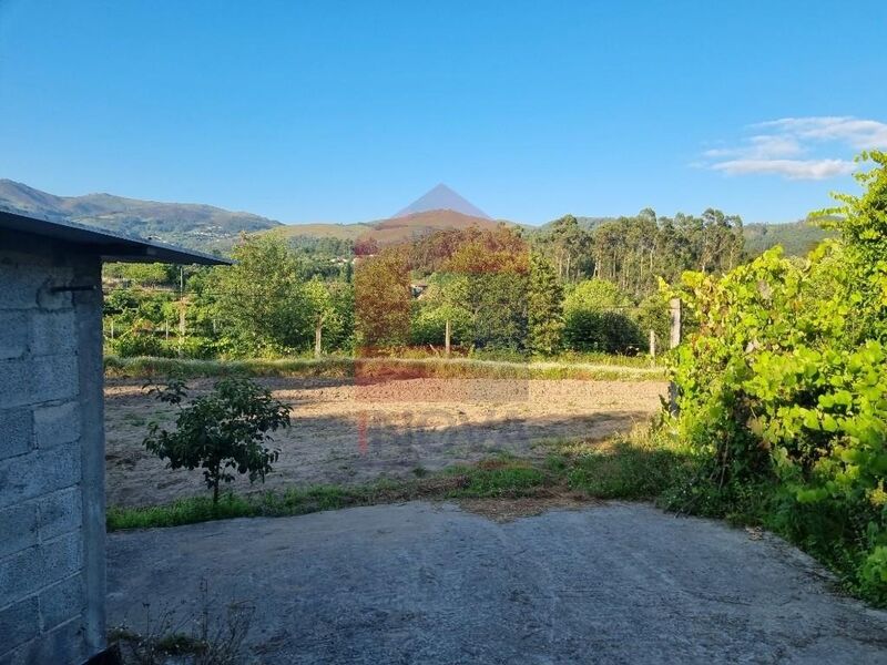 Land Agricultural flat Pico Vila Verde - easy access