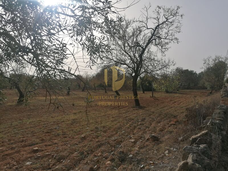 Land Urban with 8250sqm Faro - easy access, electricity, water, great location