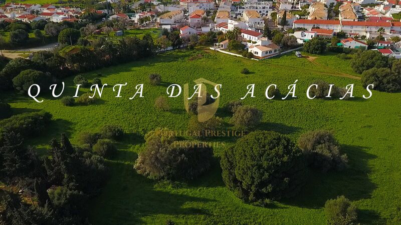 Quinta V4 Vila Nova de Cacela Vila Real de Santo António - lareira, jardim, poço