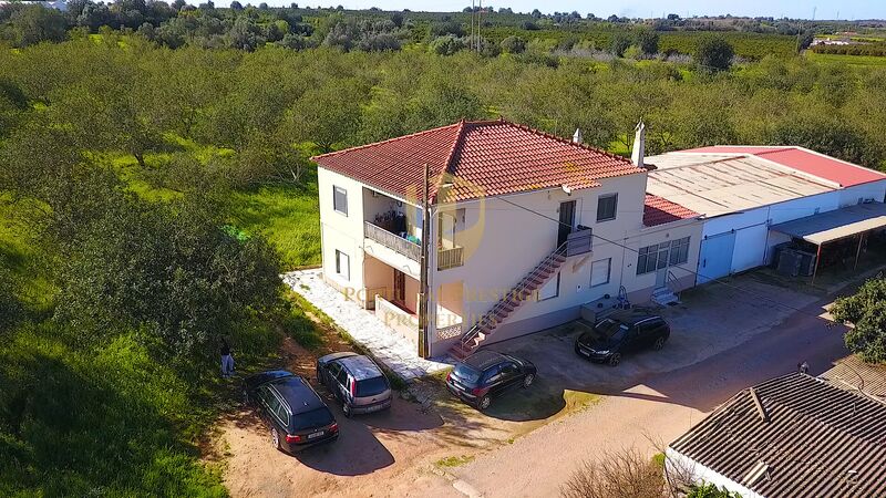 Farm 6 bedrooms Tavira - barbecue, olive trees, peach trees, water, automatic irrigation system, water hole, irrigated land