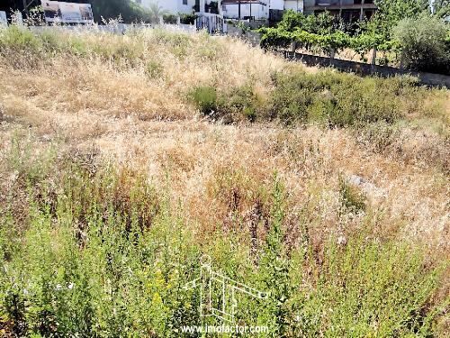 Lote de terreno para construção Castelo Branco