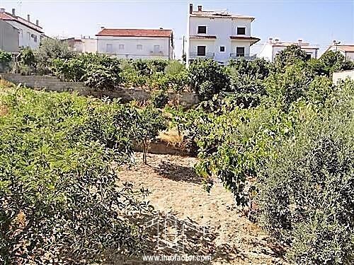 Lote de terreno para construção Castelo Branco