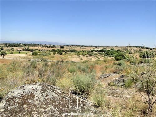 Land Rustic with 46740sqm Castelo Branco - construction viability, easy access, cork oaks