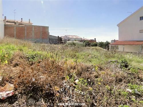 Land with 700sqm Castelo Branco