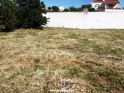 Terreno Urbano para construção Castelo Branco - água, bons acessos, electricidade, água da rede